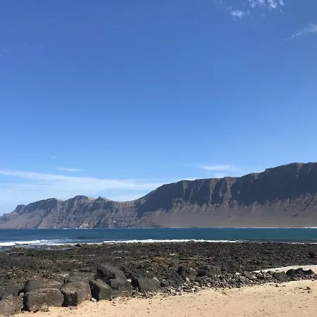 Surf